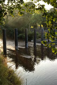 morpeth flood alleviation