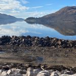 CaseStudy – Plastic Sheet Piling